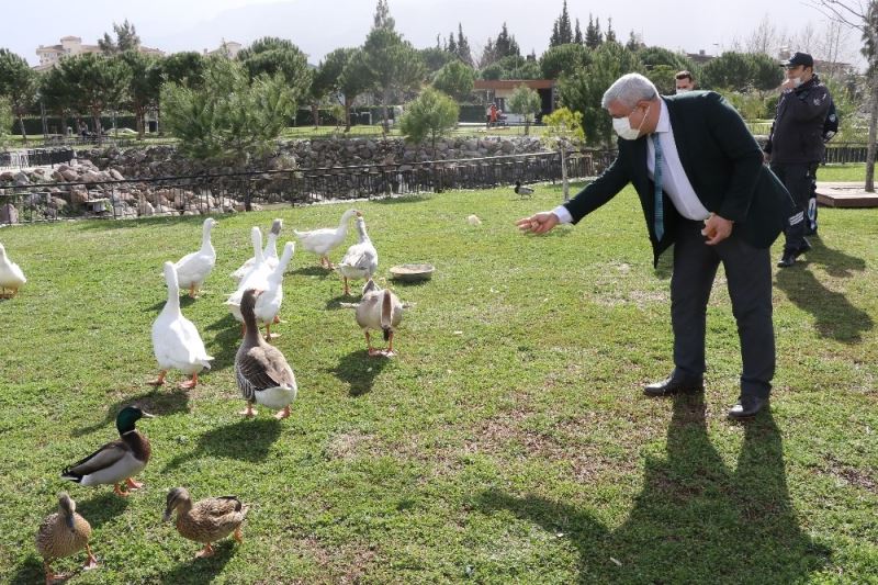 Atatürk Kent Parkı ‘Kuş Cenneti’ne döndü
