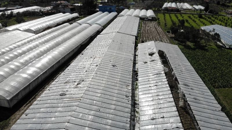 İzmir’deki dolu yağışı seraları deldi geçti
