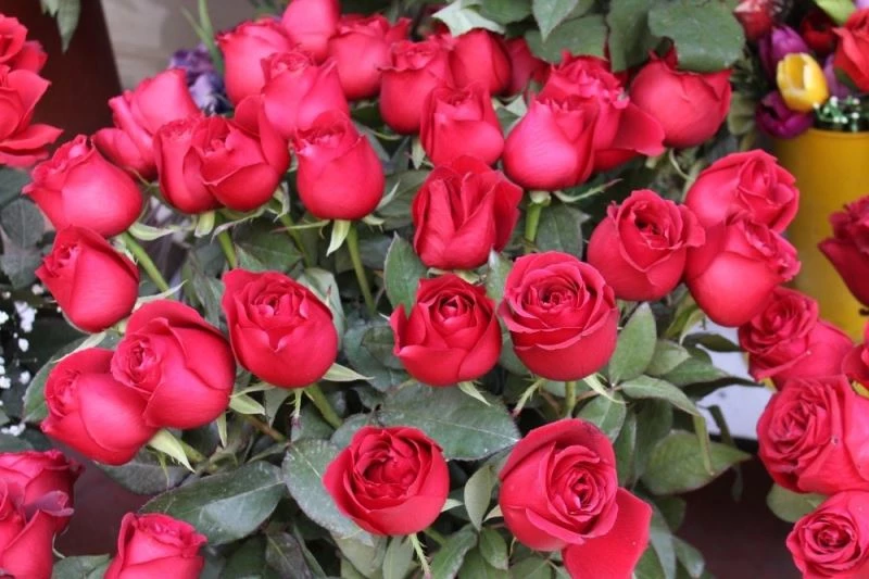 Çiçekçiler 14 Şubat’a hazır
