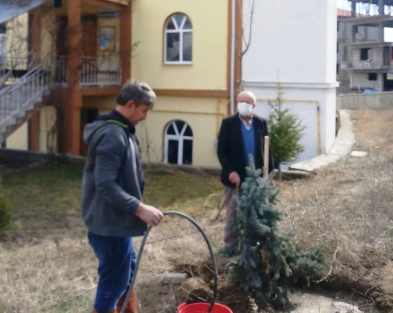 Hisarcık Yunus Emre Cami bahçesi ağaçlandırıldı
