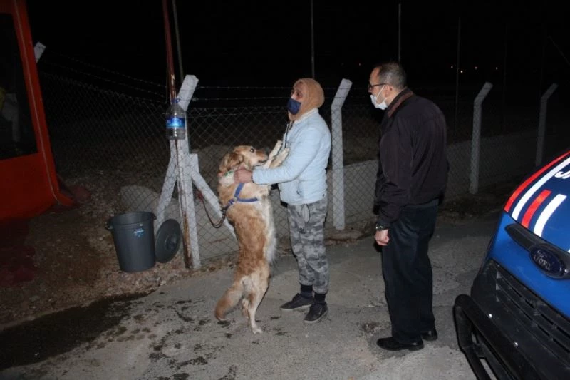 Kırmızı ışık ihlali kazası en çok Hera’yı korkuttu
