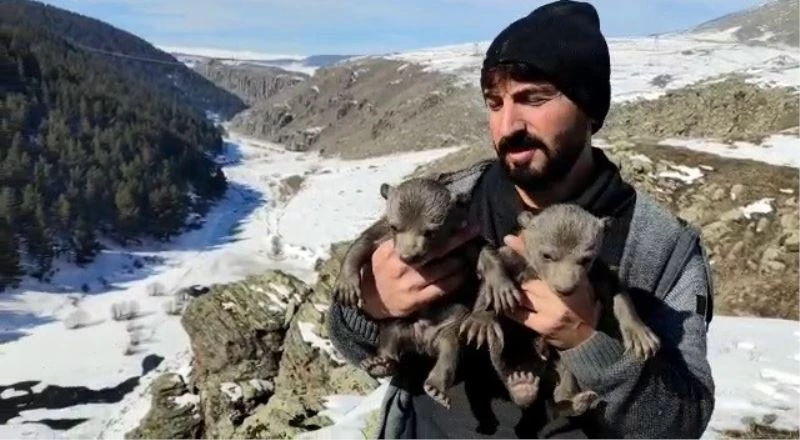 Yavru ayıları mağarasında besledi

