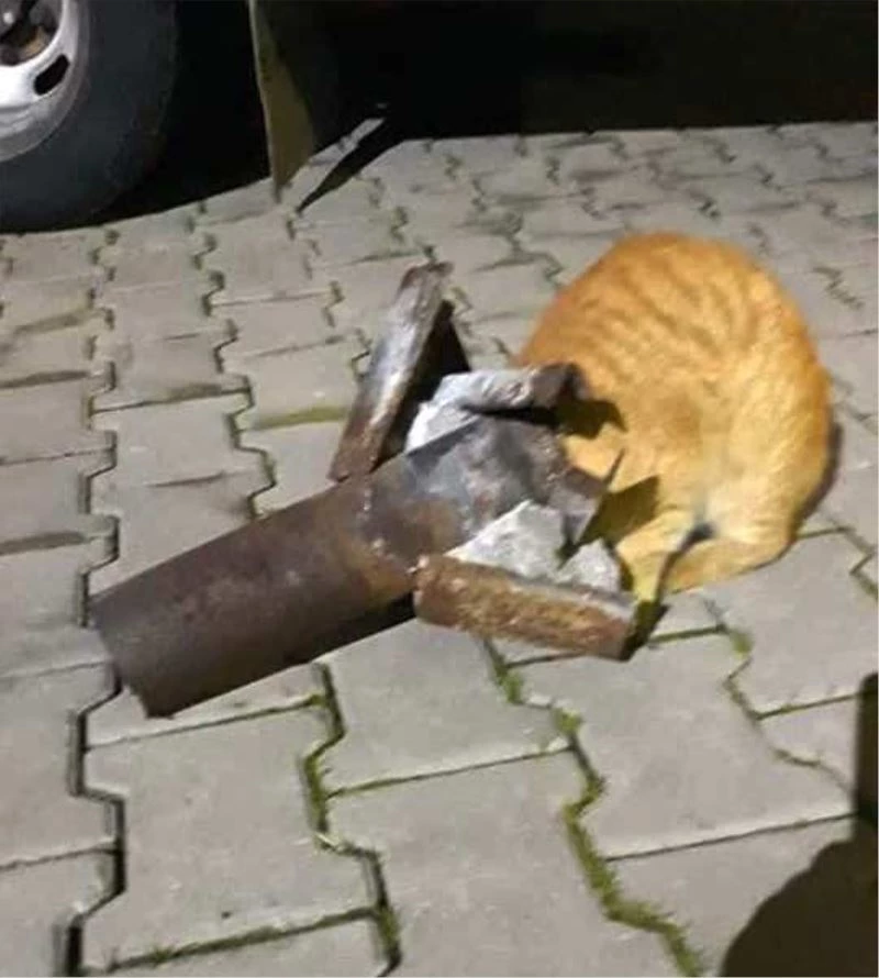 Yaramaz kediyi itfaiye kurtardı
