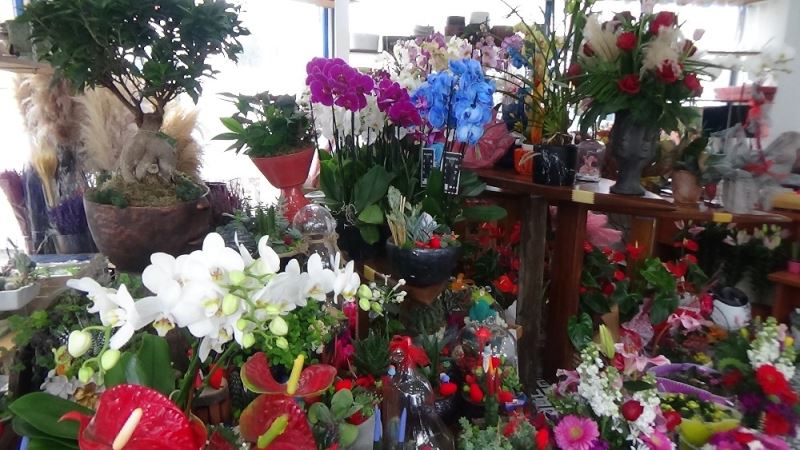14 Şubat Sevgililer Günü’nde Bodrum’daki çiçekçiler, yoğun mesai yaptı.
