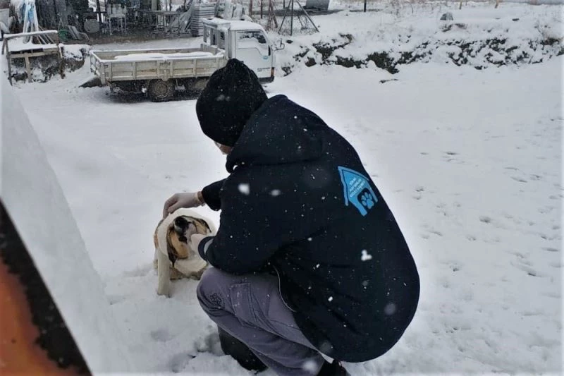 Sokaktaki canlar kara kışta yalnız kalmadı
