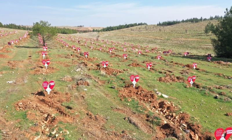 Evlenen çiftlere ömürlük hediye

