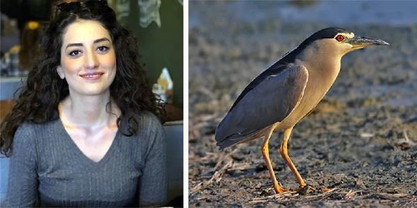 Kırmıtlı Kuş Cenneti için 2020 yılında neler yapıldığını anlattı