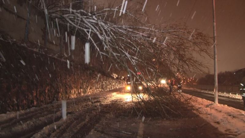 Sarıyer’de aşırı kar yağışı nedeniyle savrulan ağaç yola devrildi
