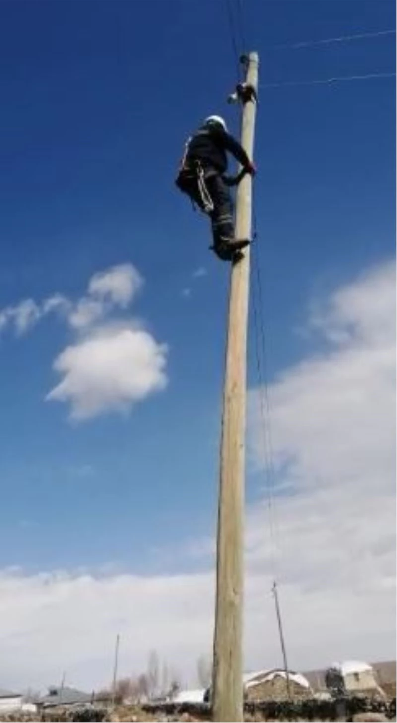 Köpeklerden kaçarken elektrik direğinde mahsur kaldı
