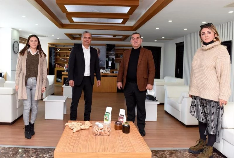 Muratpaşa Belediyesi zencefil üretecek