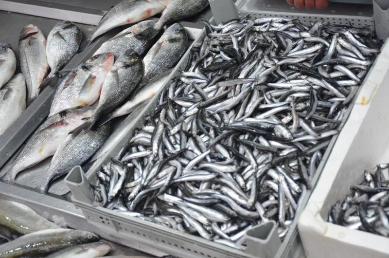 Kar yağışları balık tezgahlarını etkiledi
