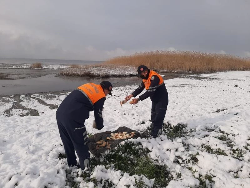 Jandarma doğadaki hayvanları unutmadı
