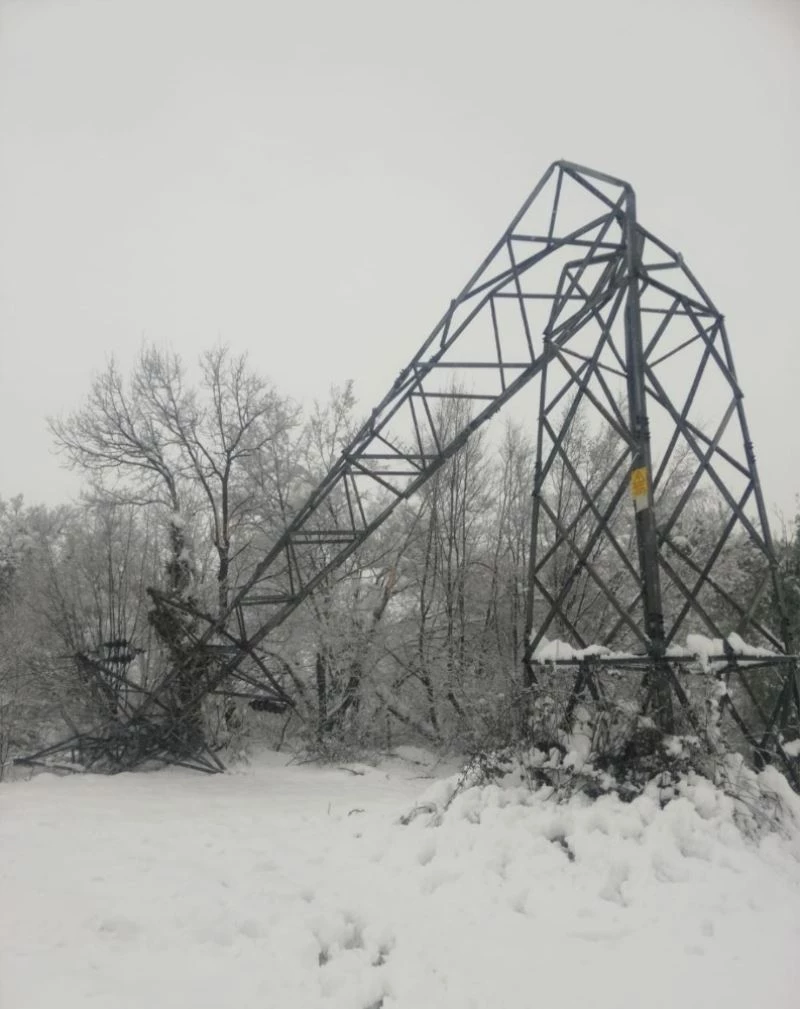 Elektrik direkleri devrildi, köylerde elektrik kesintileri yaşandı
