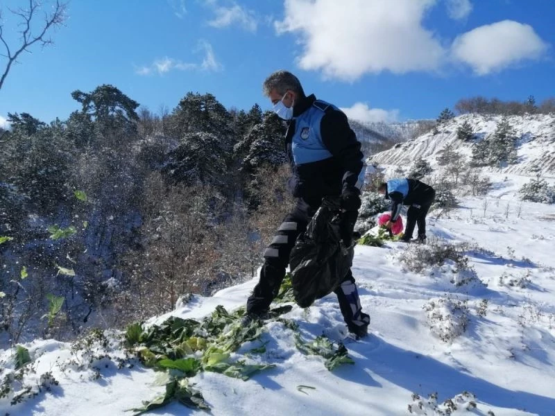 Pazar artıkları yaban hayvanlarına yem oldu

