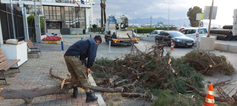 İzmir’de fırtınadan 330 ağaç zarar gördü
