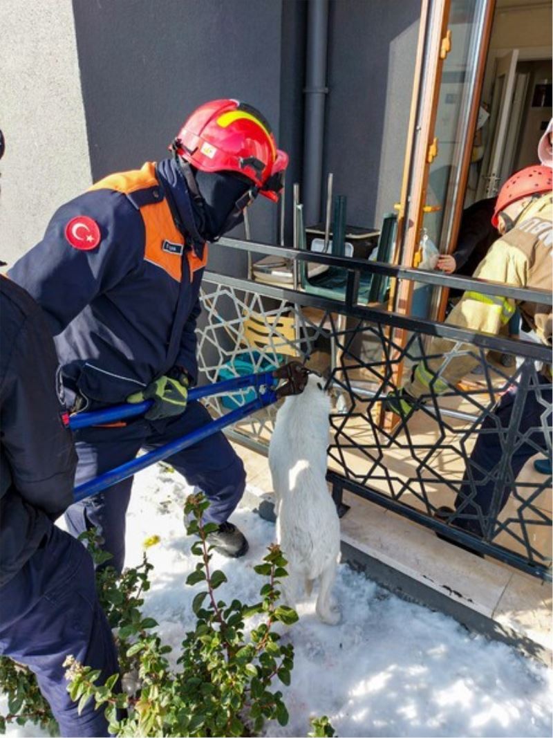 Balkon korkuluklarına sıkışan köpeği itfaiye kurtardı
