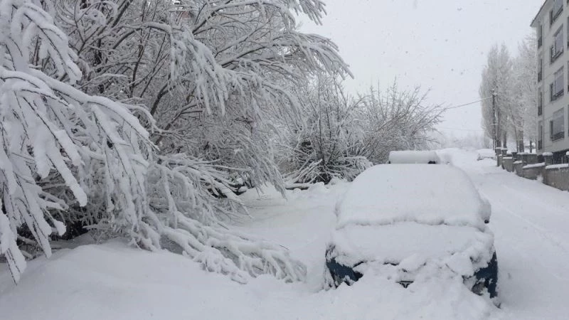 Dün bahar havası vardı, bir gecede 30 santim kar yağdı
