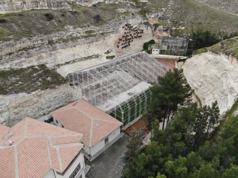 Koruma altındaki 278 kelaynak doğaya salındı
