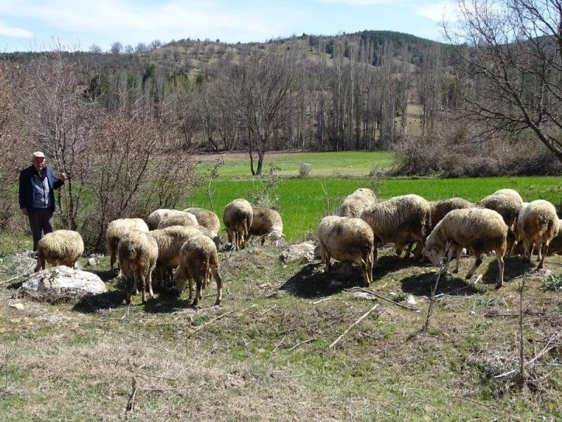 Hisarcık’ta 8 köy ’Koruma-gözetim bölgesi’ ilan edildi
