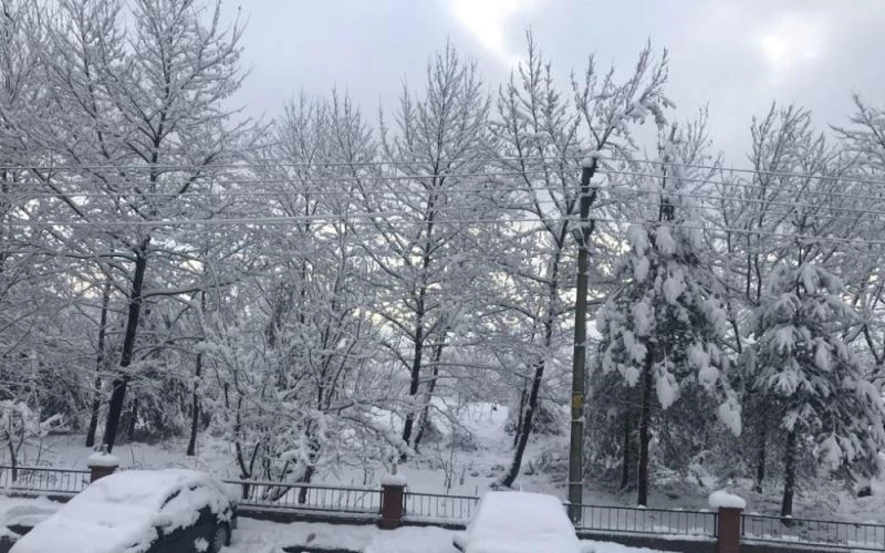 CHP’li belediye yeşil alanı imara açtı, vatandaşlar tepki gösterdi
