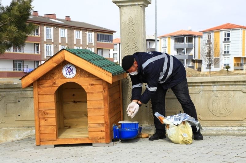 Erzincan’da sokak hayvanları için üretilen ahşap barınaklara mama bırakıldı
