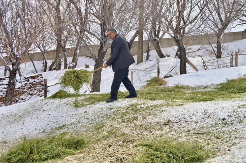 Ağrı’da hayata geçirilen “5 Yılda 750 bin Koyun” projesi meyvelerini vermeye başladı
