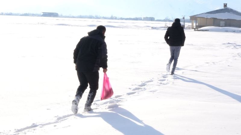 Yavrularıyla mahalleyi mesken tutan tilkiye balık ve et ikramı
