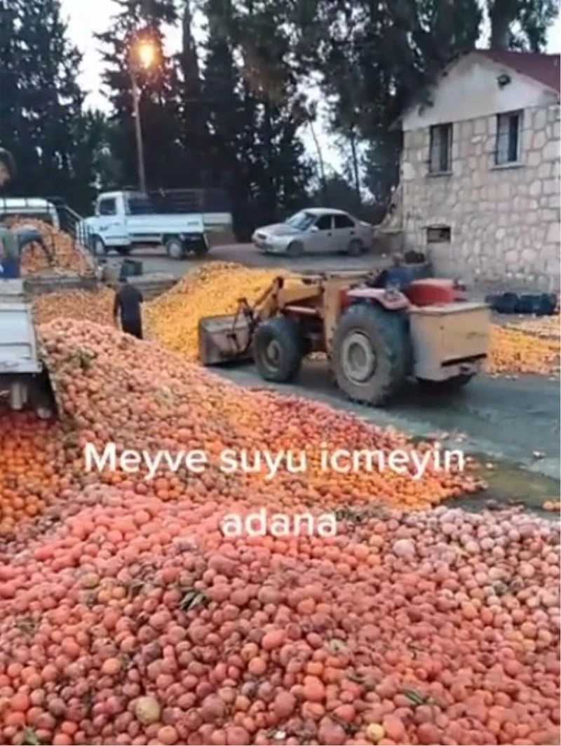 Çürümüş meyvelerin meyve suyu olduğu iddia edildi
