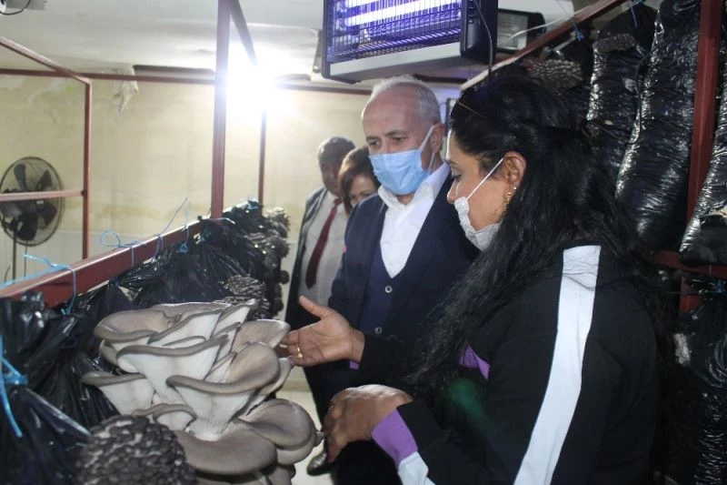 Kadınlar üretecek çocuklar eğlenecek
