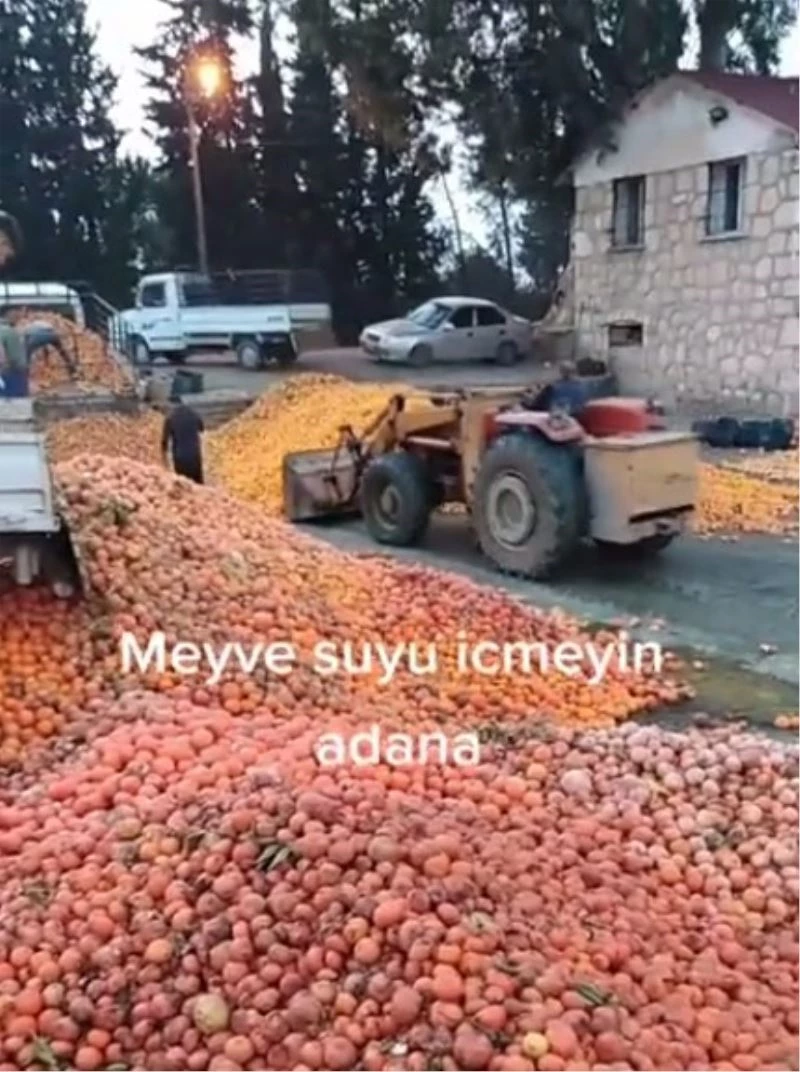Çürümüş meyvelerin meyve suyu olmadığı ortaya çıktı
