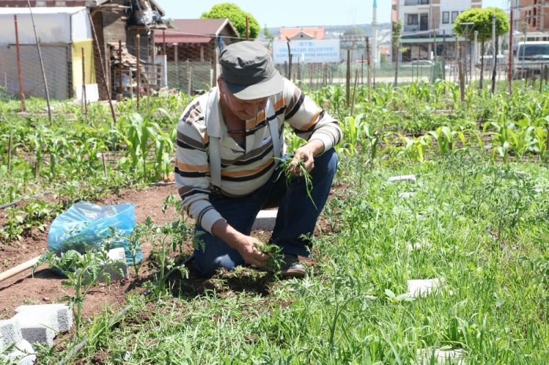 Hobi bahçeleri için kura çekilişi yapılacak
