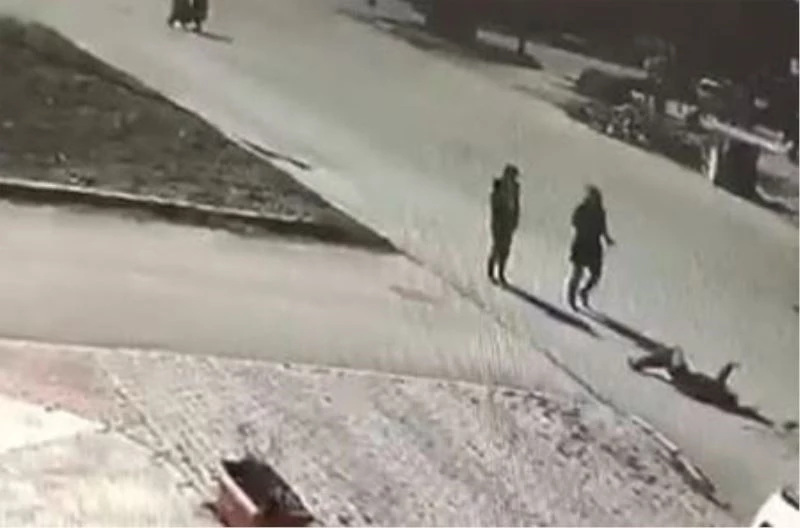 Genç kıza çarptı, 