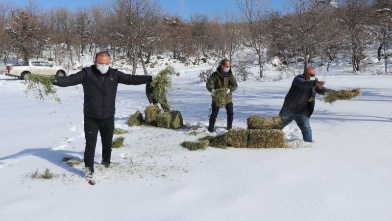 Yaban hayvanları için Hasandağı’na yem bırakıldı
