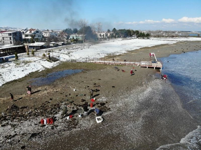 Dalgaların kıyıya attığı salyangozlar kadınlara ekmek kapısı oldu
