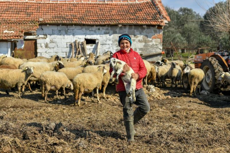 Hayvancılık bilgisiyle sosyal medyada gündem olan Havranlı Şevki Savran