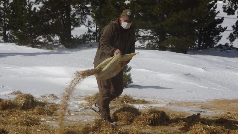 Muratdağı’nda yabani hayvanlar için yem bırakıldı
