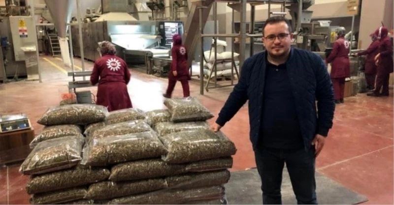 Bursa dünyaya çekirdek ihraç edecek
