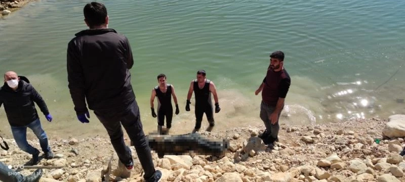 Dicle Nehrinde erkek ceset bulundu
