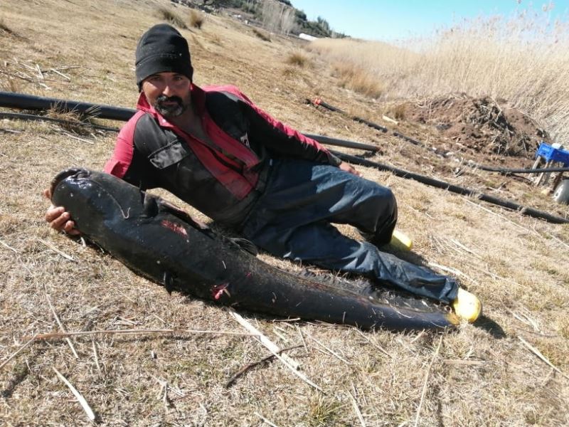 Burdur’un Gölhisar Gölü’nde ağa, rekor büyüklükte yayın balığı takıldı
