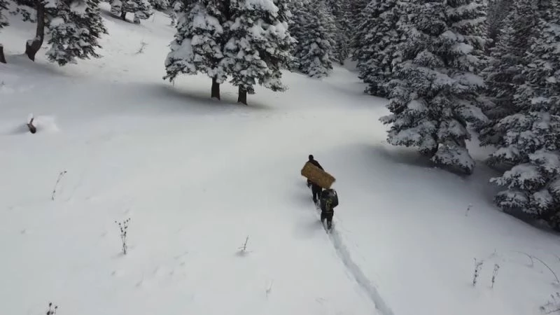Zorlu kış şartlarında yaban hayatı unutulmadı
