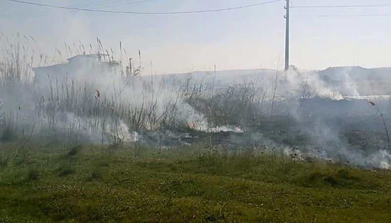 Yangın Gömeç sahilini duman altında bıraktı
