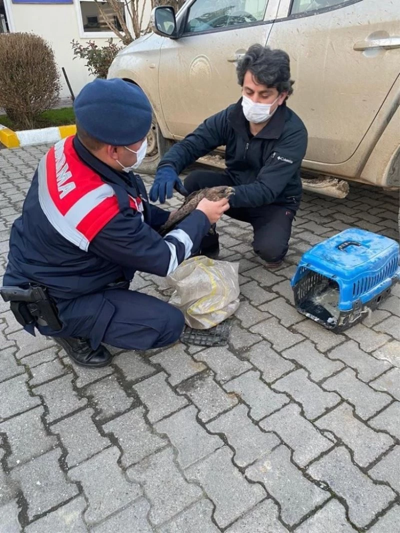 Yaralı Doğan’a jandarma şevkati
