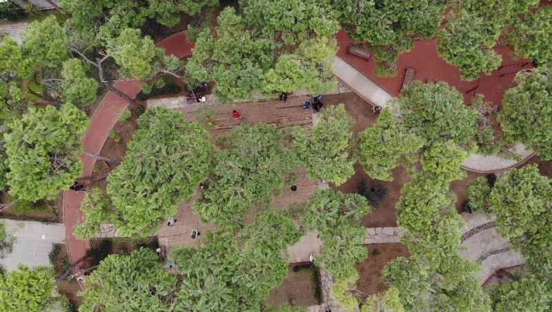 Kadıköy’de 65 yaş üstü vatandaşlar sabah sporunda buluştu
