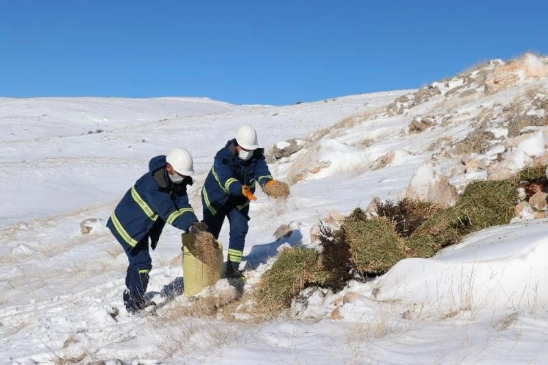 Hem arıza giderdiler hem de yabani hayvanları doyurdular
