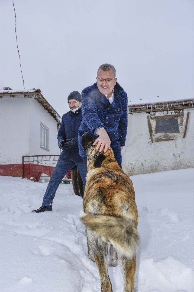 Başkan Özkan’ın hayvan sevgisi
