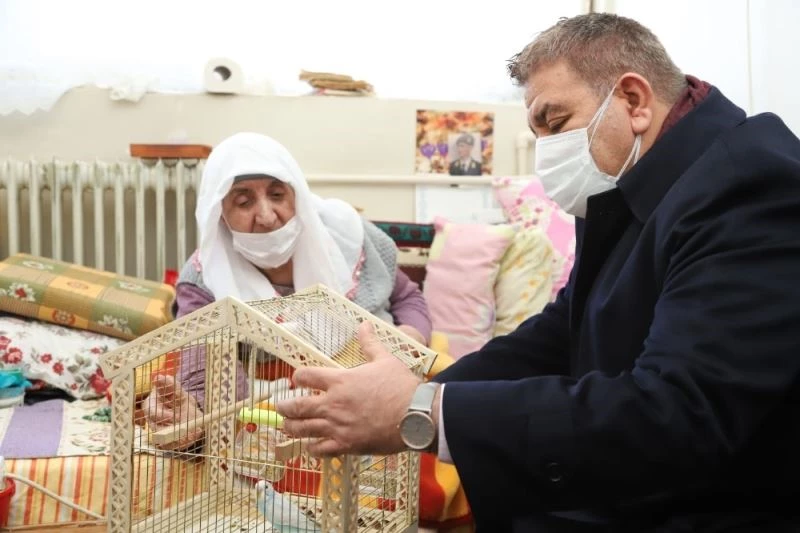 Başkan Sunar, kedisi kaybolan Sevgi nineye muhabbet kuşu hediye etti
