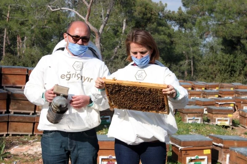 Ödüllü bala pandemide talep arttı
