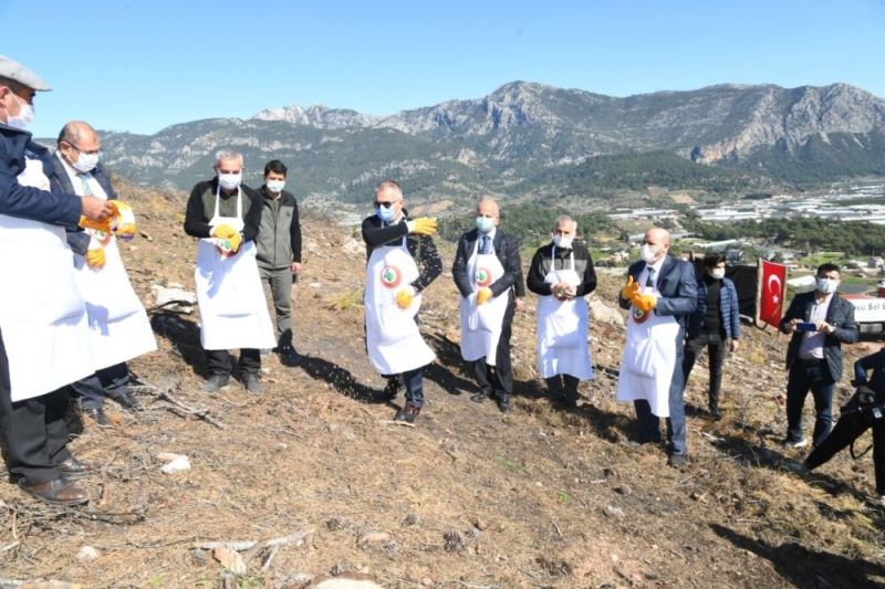 Adrasan’da yanan ormanlık alan yeniden yeşillendiriliyor
