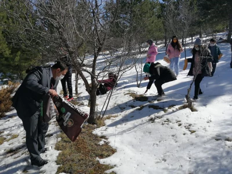 Çiçekdağı’nda kuşlar için dağlara yem bırakıldı
