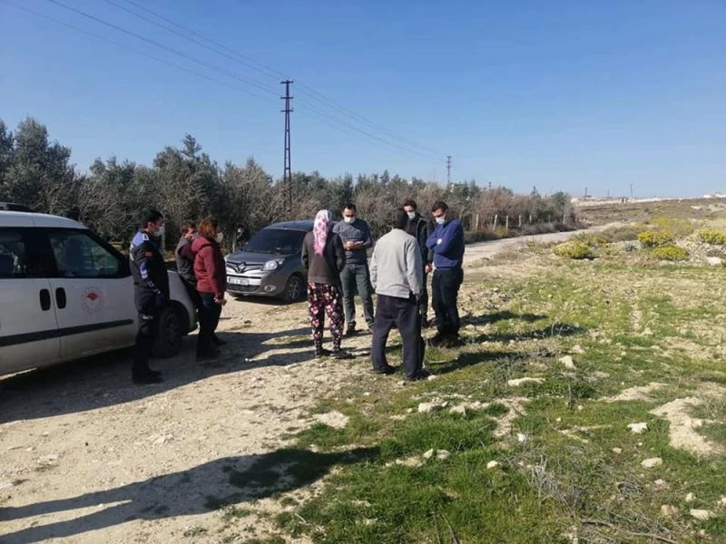 Mersin’de kırma Kangal cinsi 3 köpek ölü bulundu
